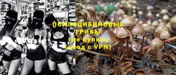меф Белокуриха