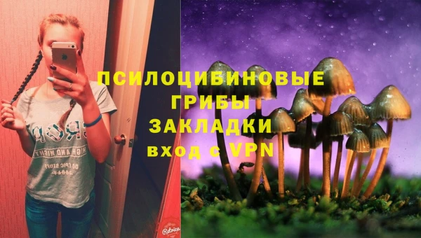 гашик Беломорск