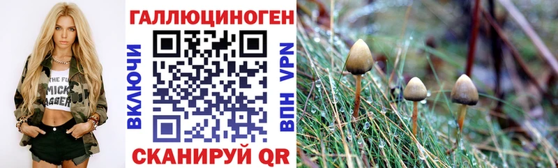 сайты даркнета Telegram  Бор  Галлюциногенные грибы Cubensis 
