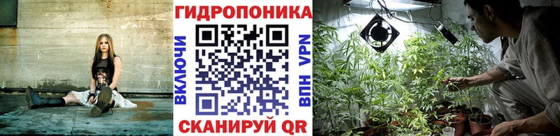 Бошки Шишки марихуана  Бор 